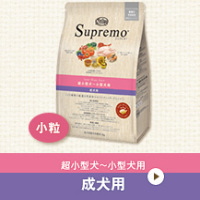 シュプレモ　超小型犬～小型犬用 [成犬用]